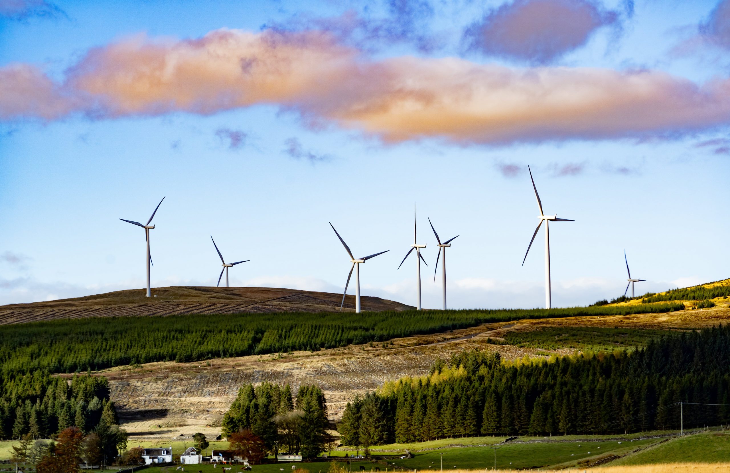ShowEquip covers the Renewable Energy sector / industry. Image of large wind turbines surrounded by trees and fields.